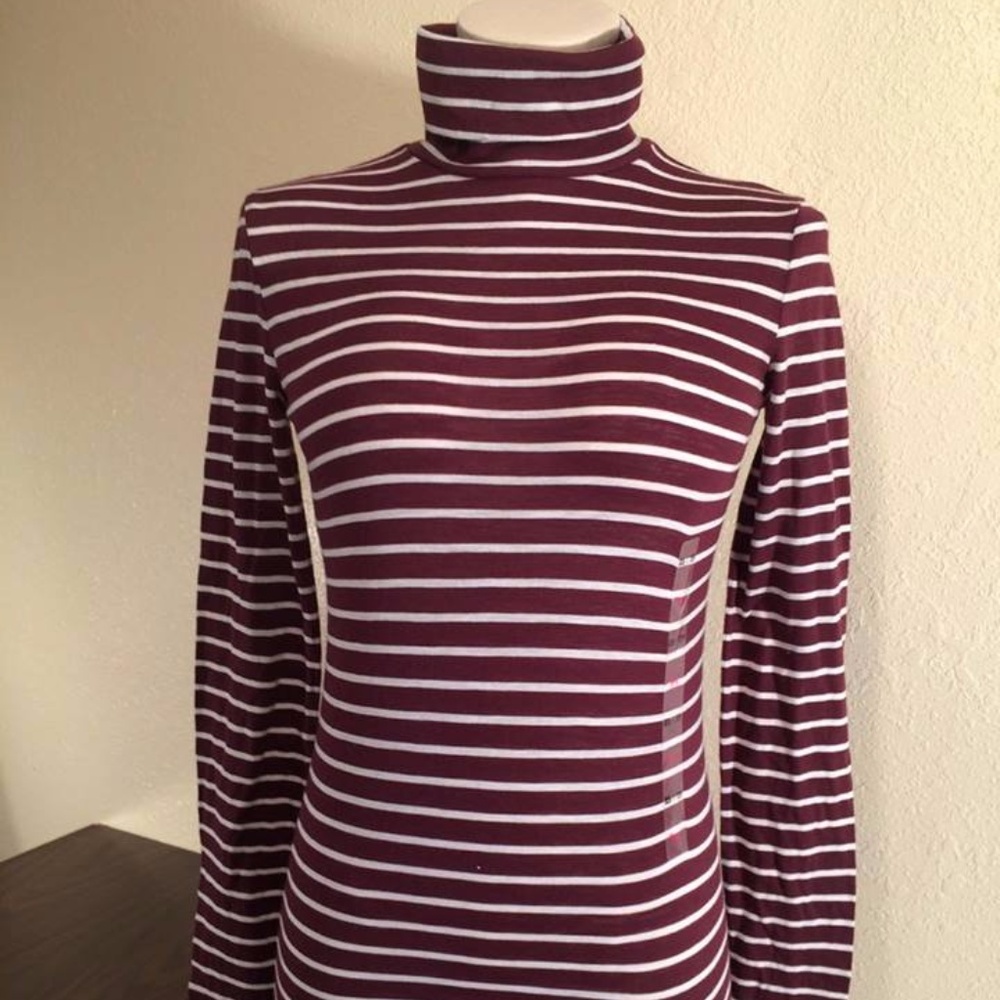 Victoria's Secret PINK Burgundy Striped Turtleneck